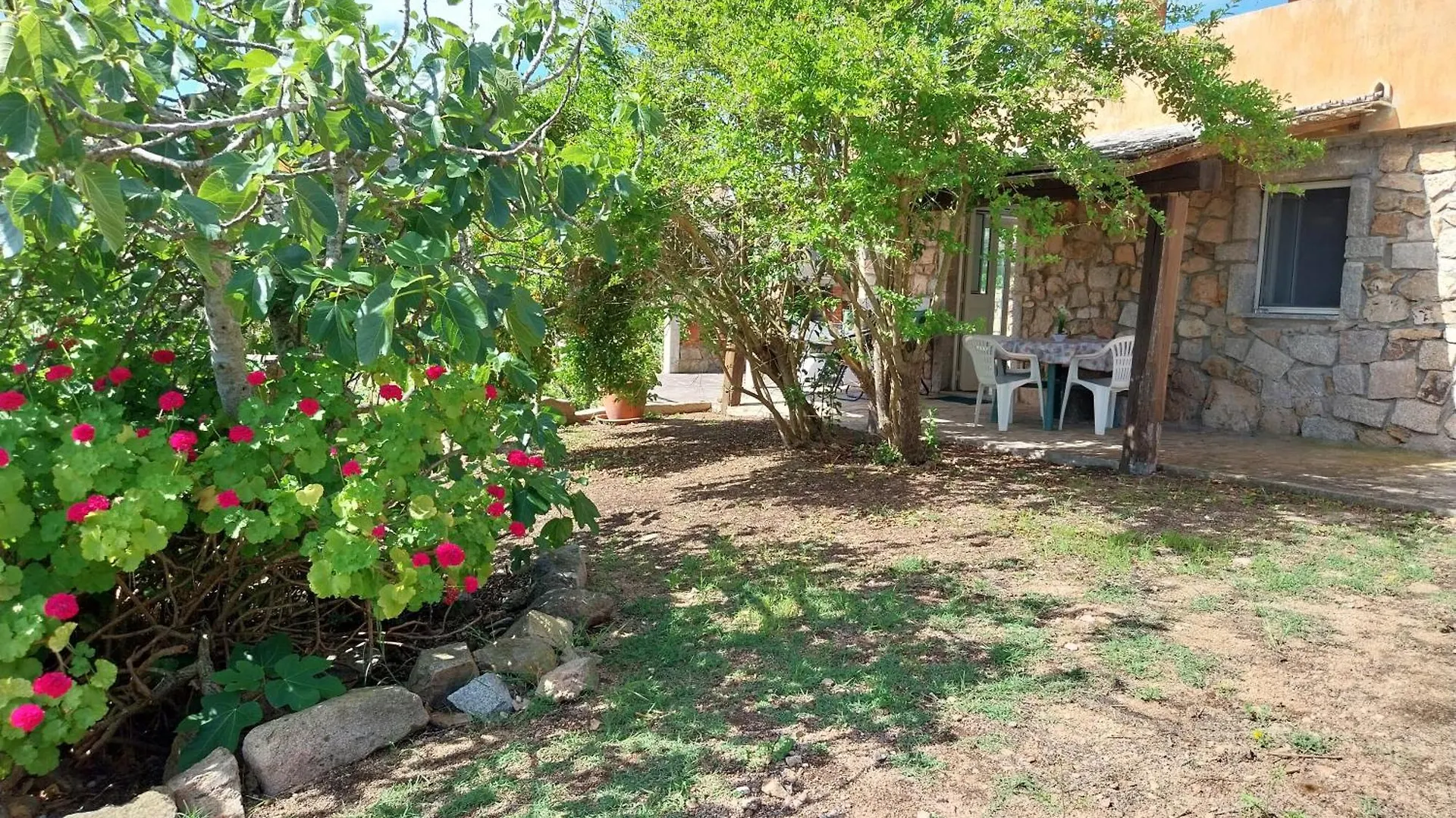 Villa Ederle La Maddalena  Apartment